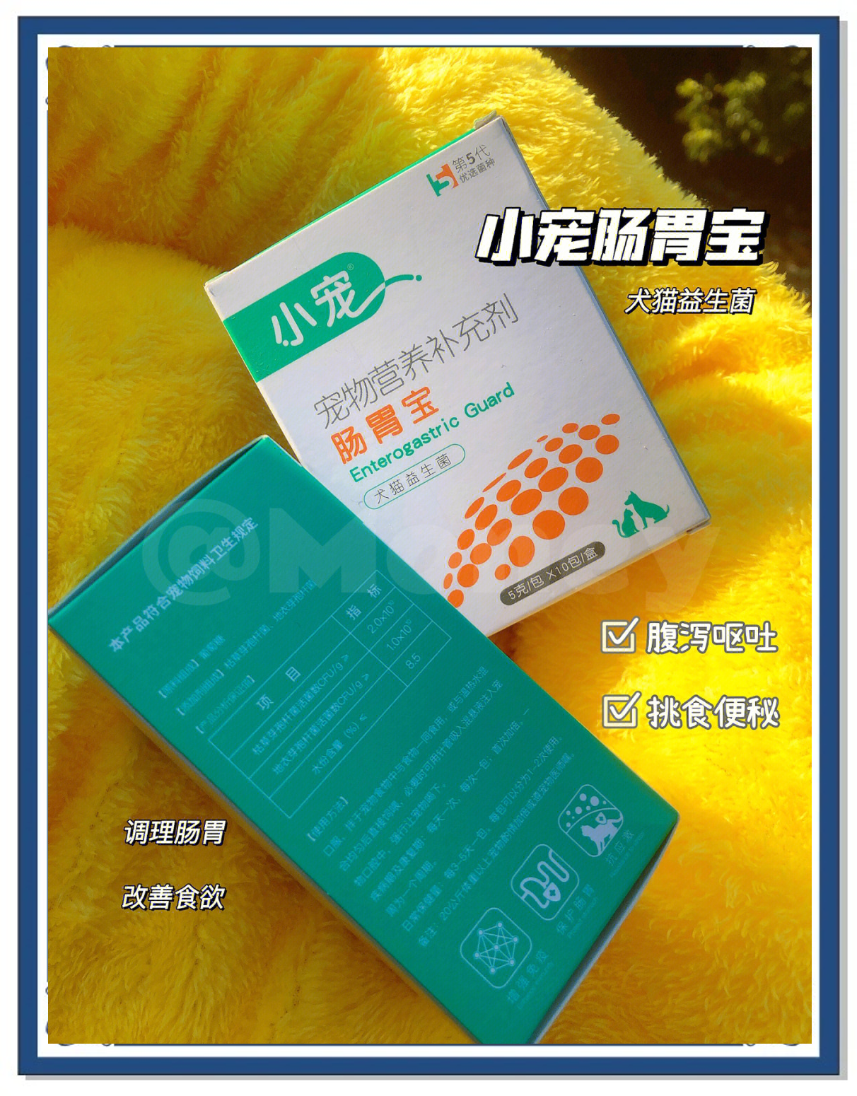 小寵寵物腸胃調(diào)理怎么樣兔子拉稀怎么辦