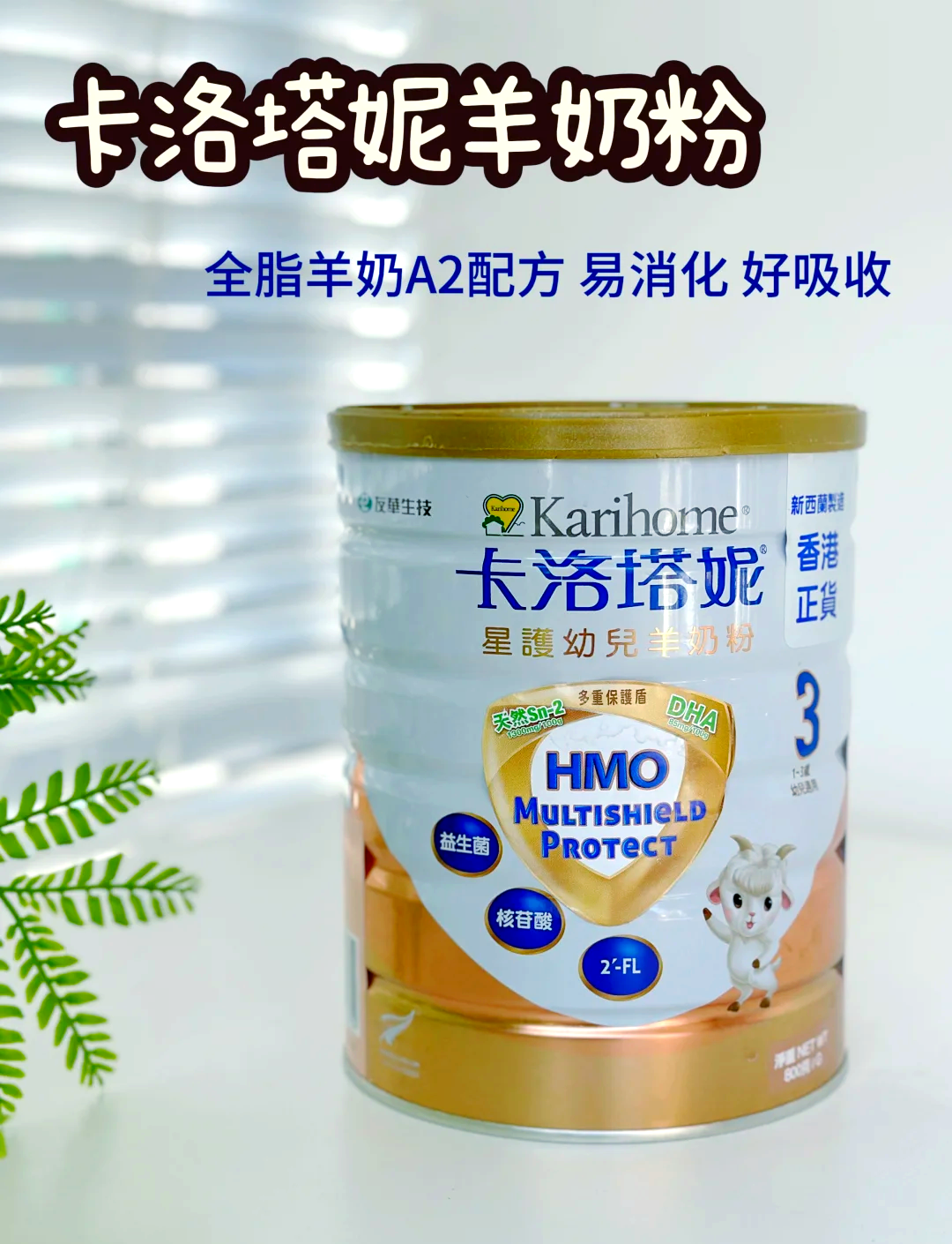 愛羊羊的嬰兒配方羊奶粉_特殊配方奶粉