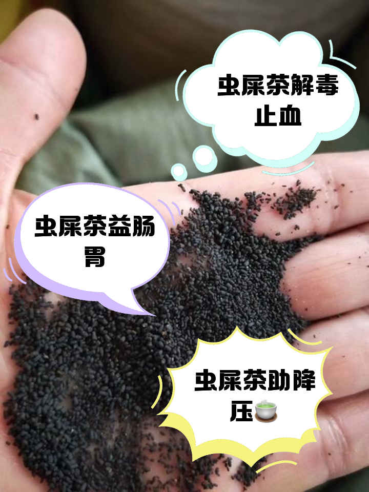 蟲茶是什么茶葉做出的蟲茶的功效和作用