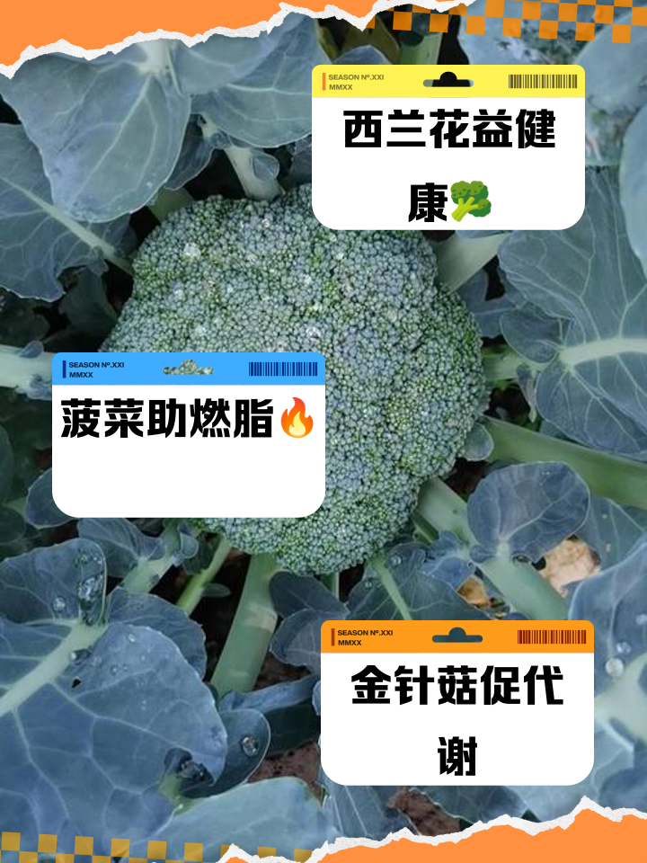 水果玉米,開啟科學(xué)減肥靠譜之路_蔬菜
