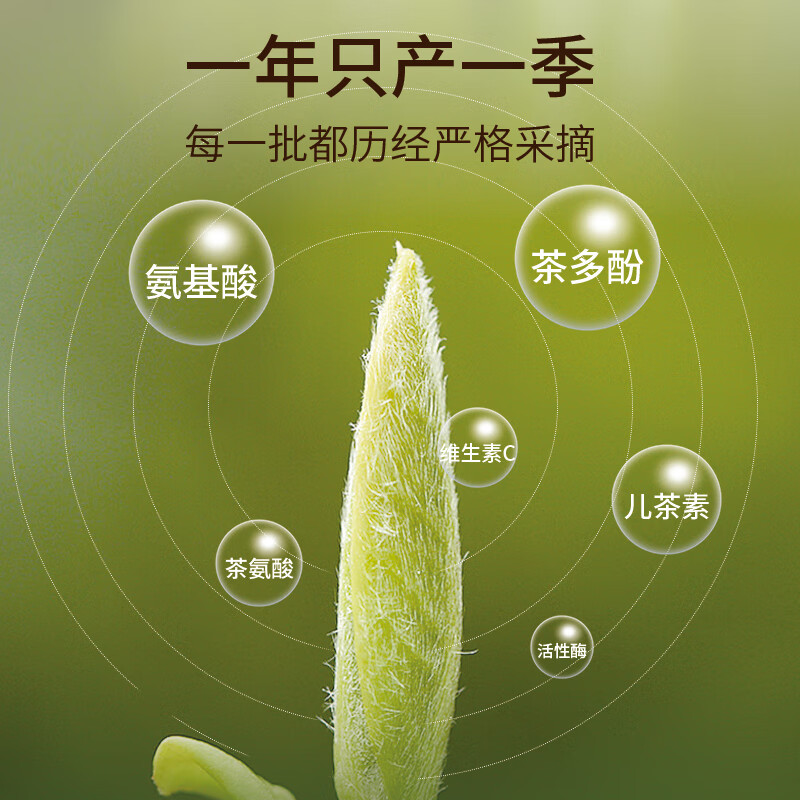 弘木蘭