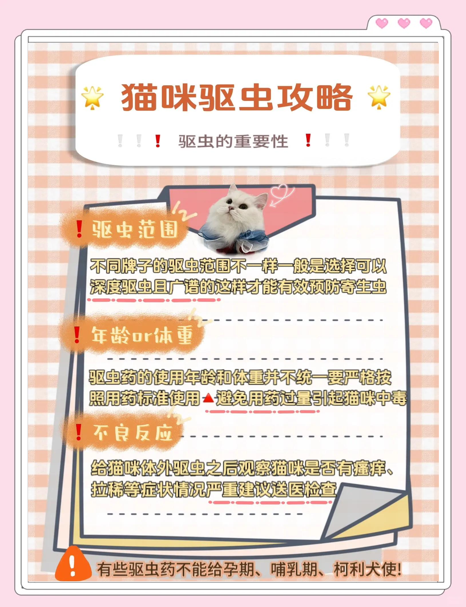 懶人鏟屎官必備貓咪驅(qū)蟲(chóng)指南_貓咪驅(qū)蟲(chóng)