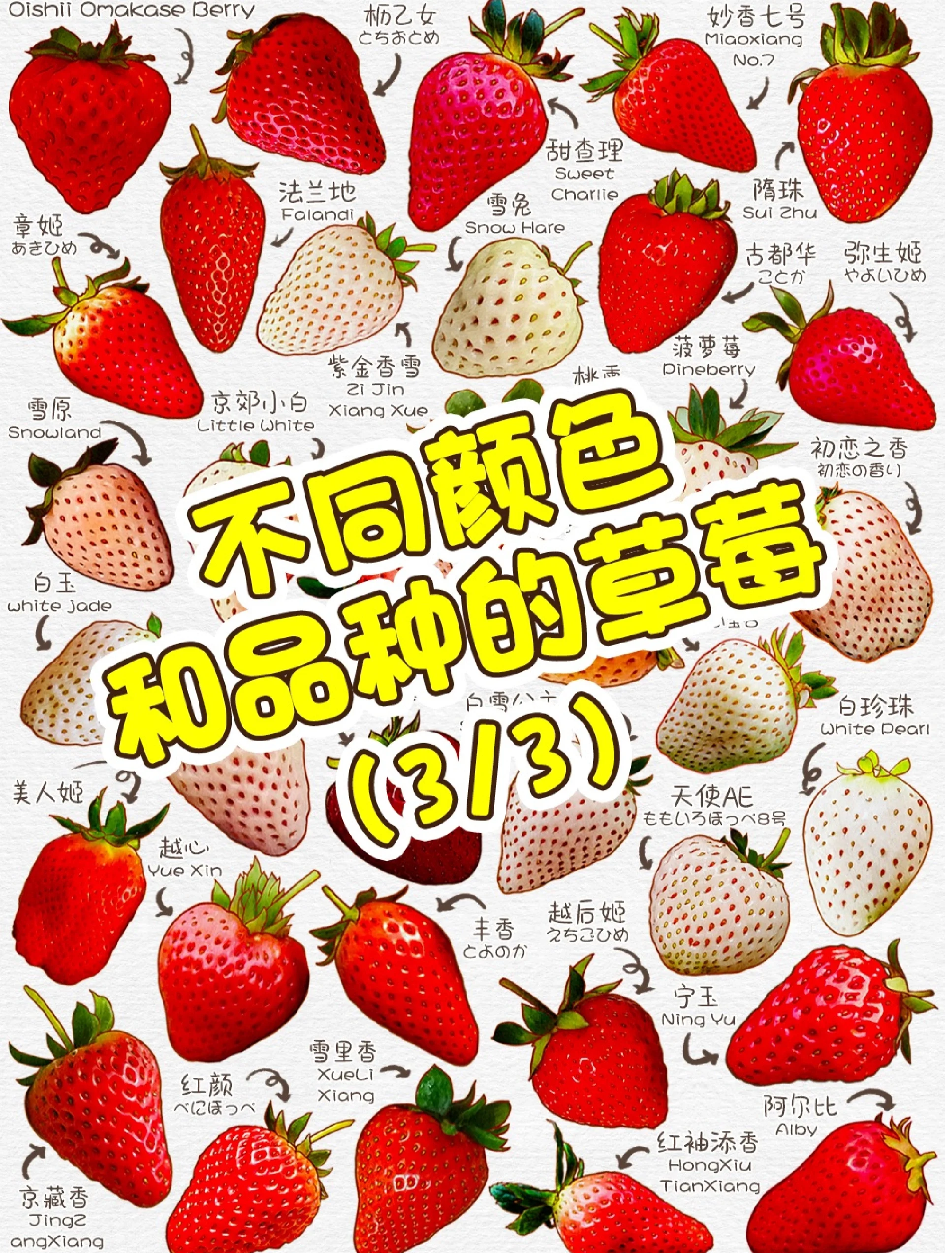 一周認(rèn)識(shí)一個(gè)易敏食物:草莓_新鮮水果