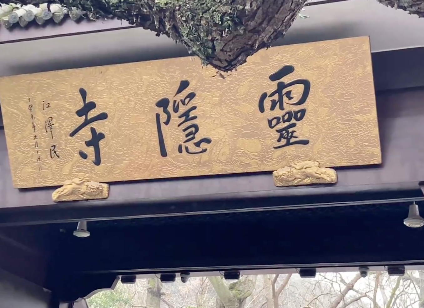 一“田”字旁,右邊一個“寺”。是個什么字啊