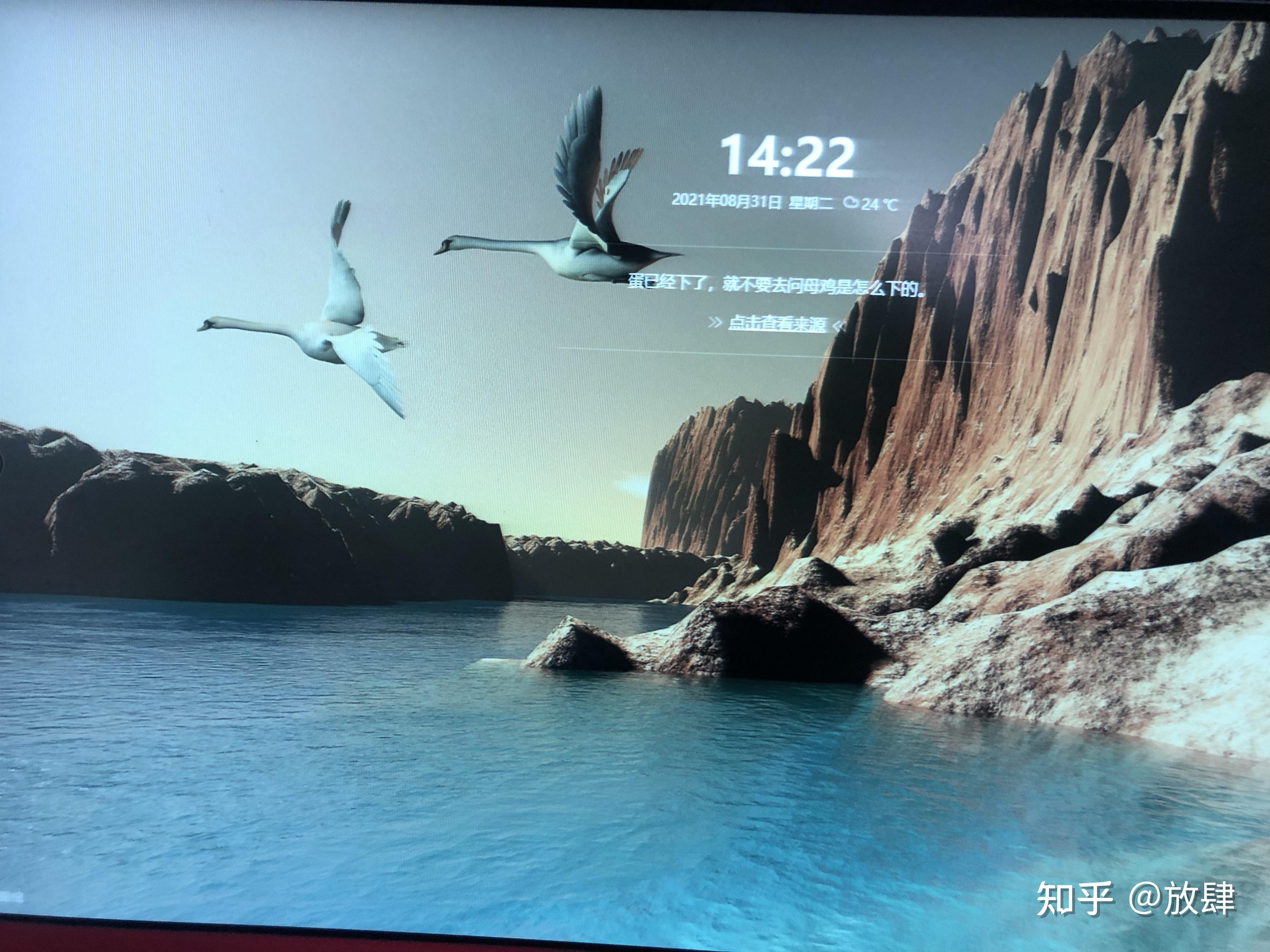 【360畫報怎么用】360畫報好不好_使用技巧