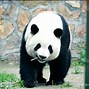 時(shí)間打磨的不只是精致,還有彪悍后攝—ZOL好說(shuō)