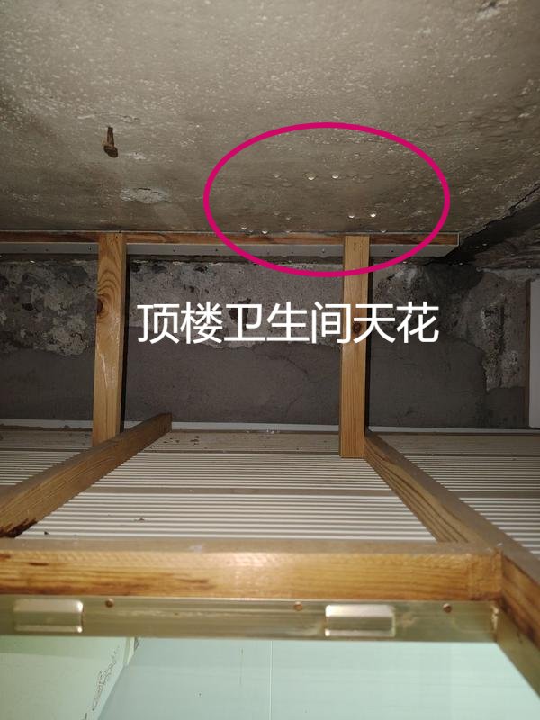 烏雅冰瑩