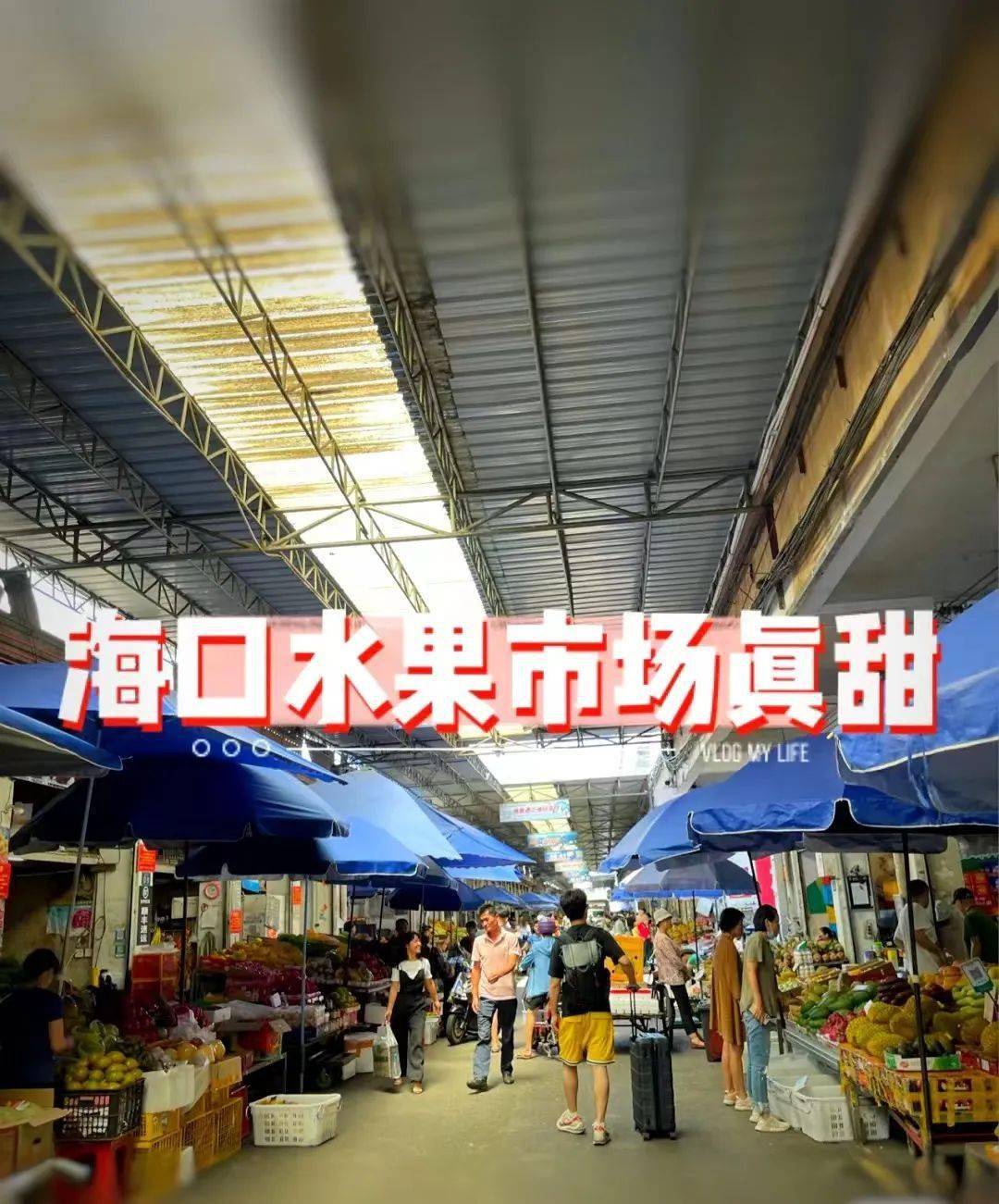 2025年5月30日 第42頁(yè)