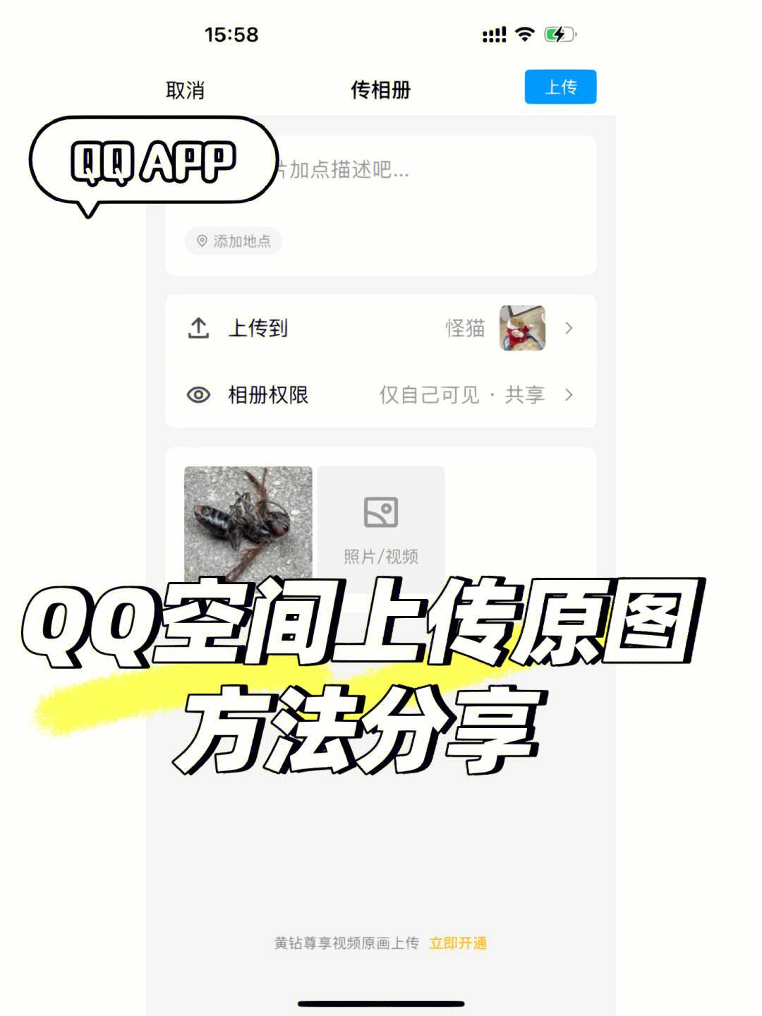 我QQ空間進(jìn)不了,說(shuō)被多人舉報(bào),無(wú)法打開(kāi)怎么處理