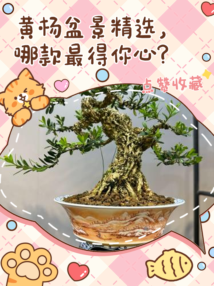 蹇夢槐
