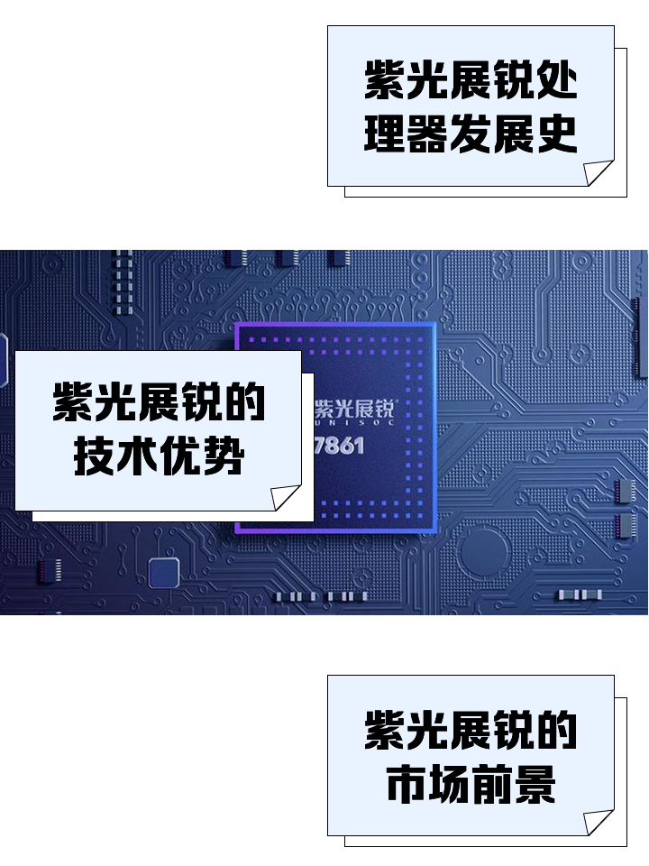 樹水荷
