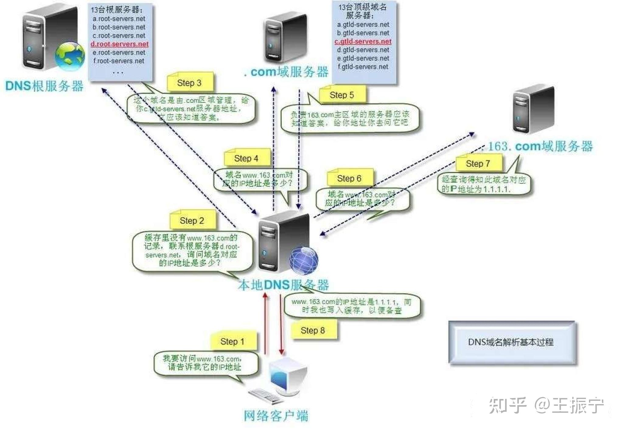 抗醉柳
