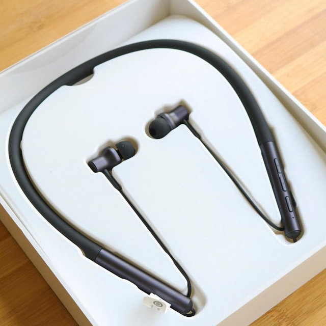 小米Xiaomi清新版入耳式有線耳機(jī)僅29元包郵_行情