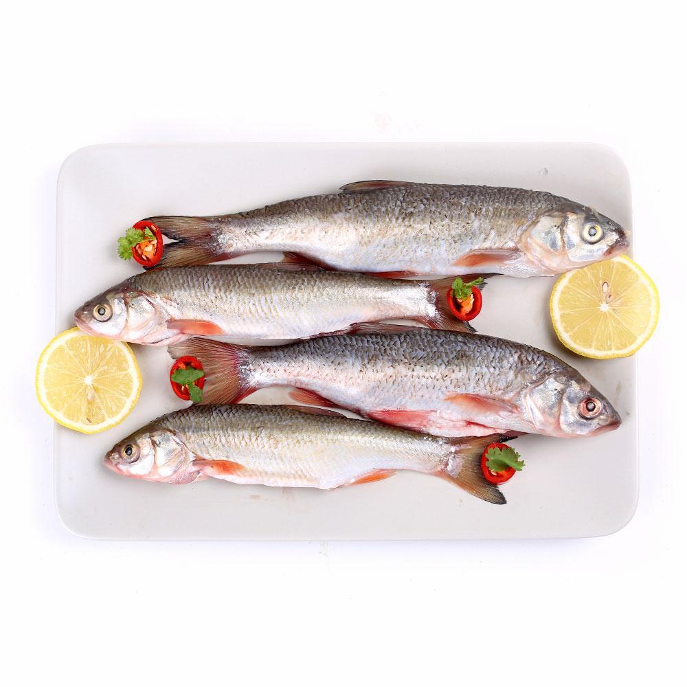 請問華子魚多少錢一斤