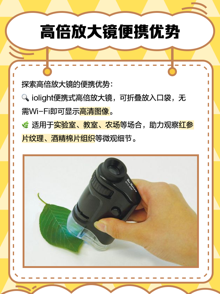 免費在線使用放大鏡工具,清晰度高效果好!-軟件技巧