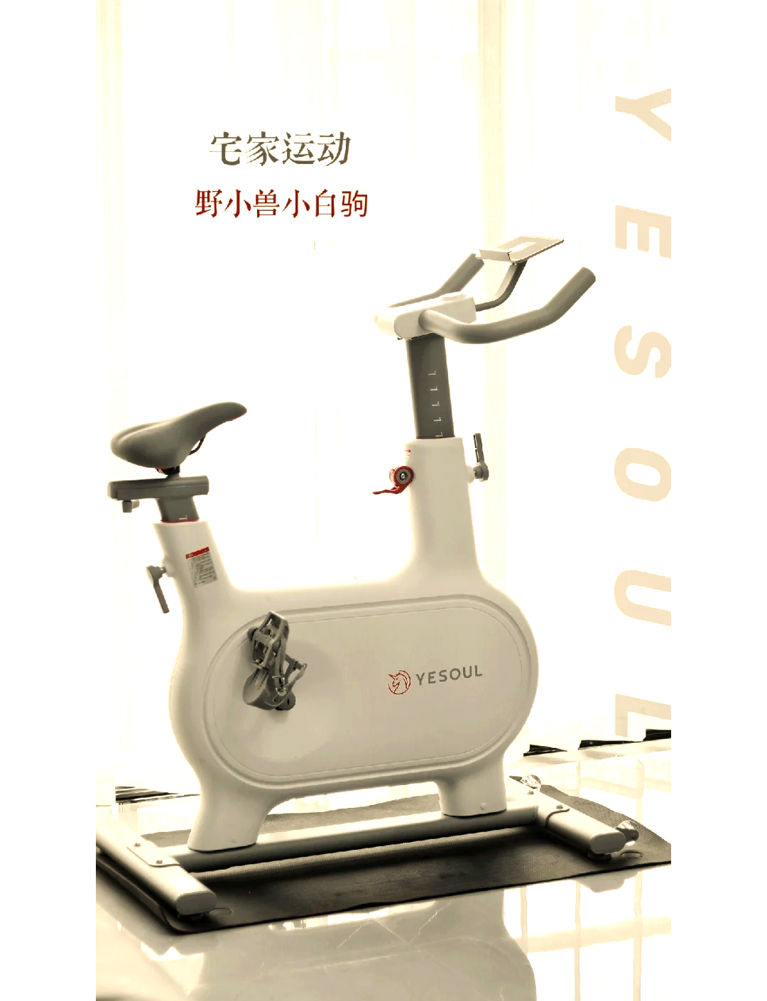 野小獸動感單車京東優(yōu)惠,原價3499現(xiàn)1999_行情