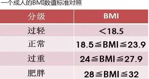 【BMI計算器】BMI計算器手機版免費下載