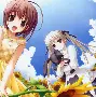 【緣之空下載】緣之空TV版_安卓電視版官方免費下載