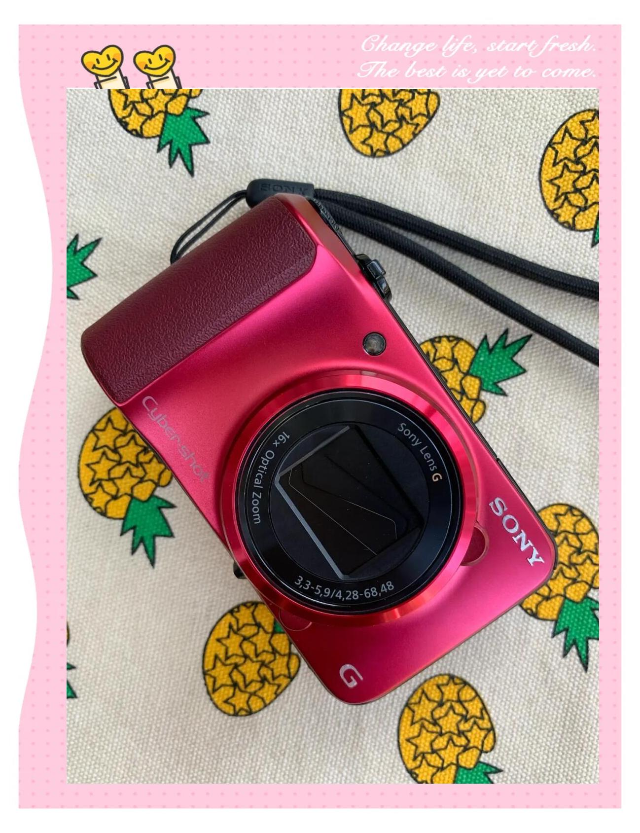 索尼(SONY)J10數(shù)碼相機微距樣張評測