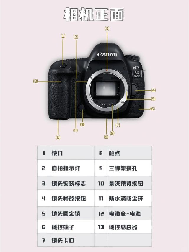 佳能5D4報(bào)價(jià)_佳能5D4參數(shù)_圖片_口碑