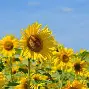 2025年6月20日 第3頁(yè)