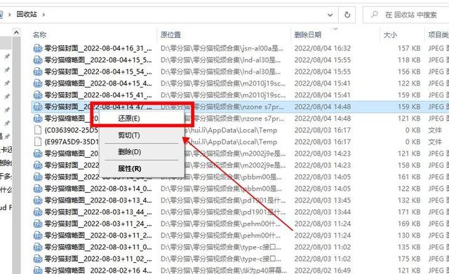 不小心從文件管理刪掉了照片怎么處理?還能恢復(fù)嗎?