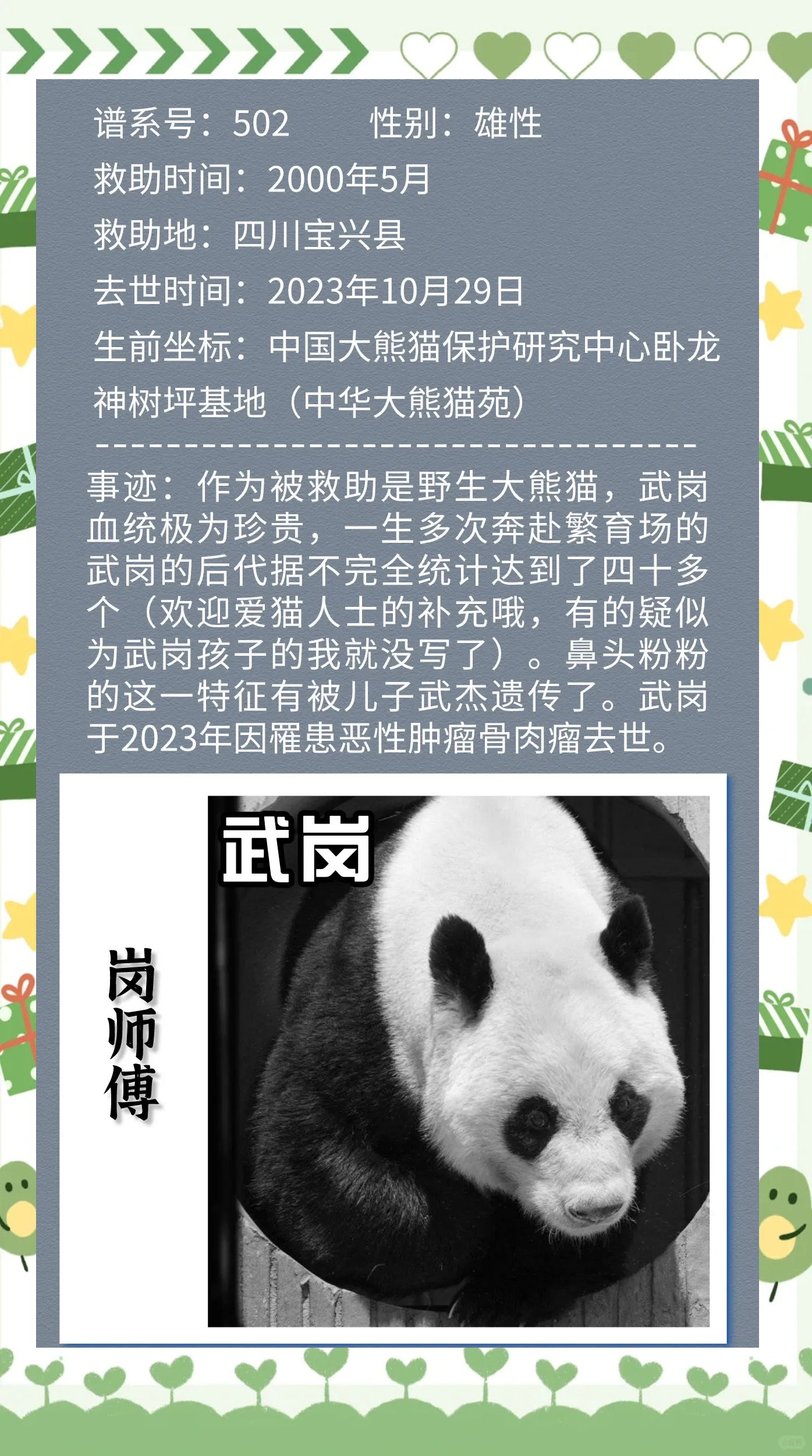【熊貓衛(wèi)士官網(wǎng)介紹】熊貓衛(wèi)士殺毒軟件、防毒及郵件過濾