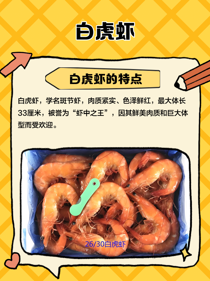 小白糾結(jié)于MP4的選購(gòu),哪位大蝦來(lái)推薦個(gè)綜合論壇