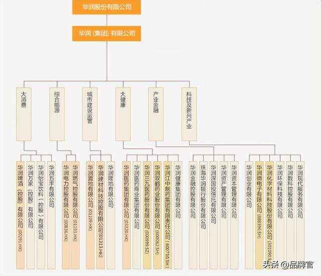 2025年6月29日 第5頁