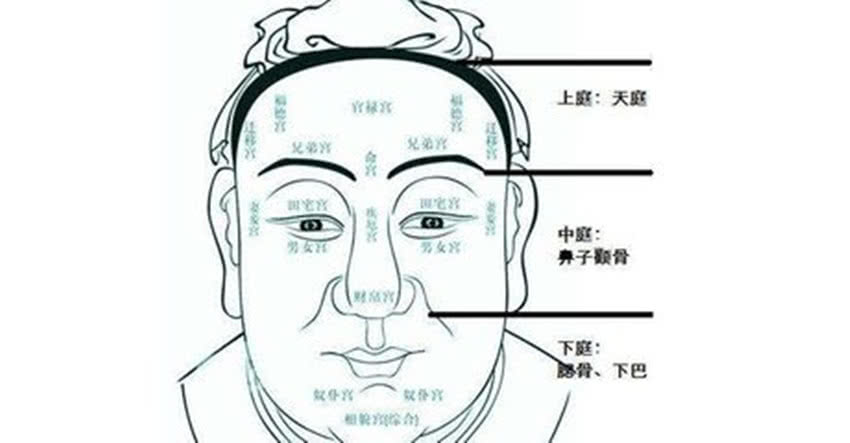 2025年6月29日 第17頁