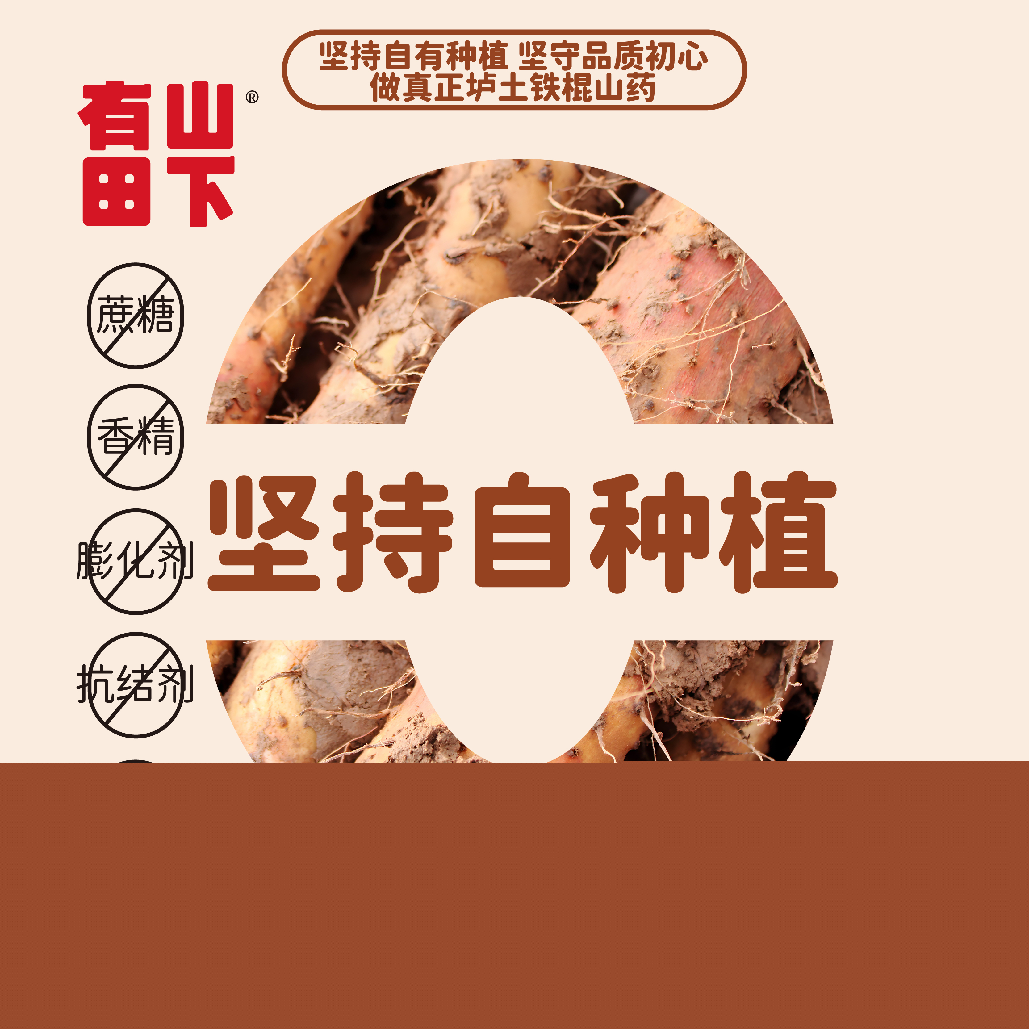 四大懷藥/懷府四寶/懷山藥/懷地黃/懷牛膝/懷菊花
