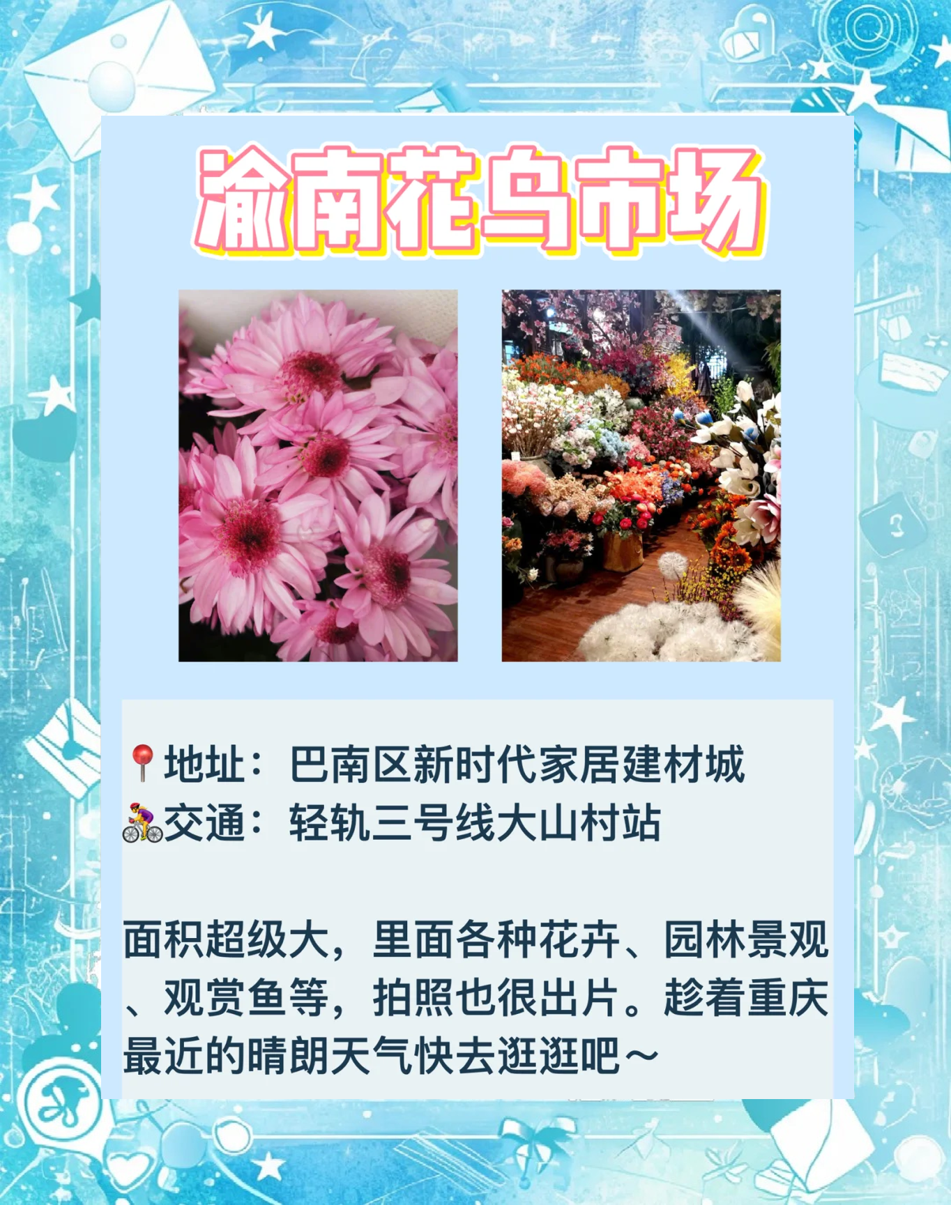重慶盆栽花卉批發(fā)市場(chǎng)地址哪位可以提供下?