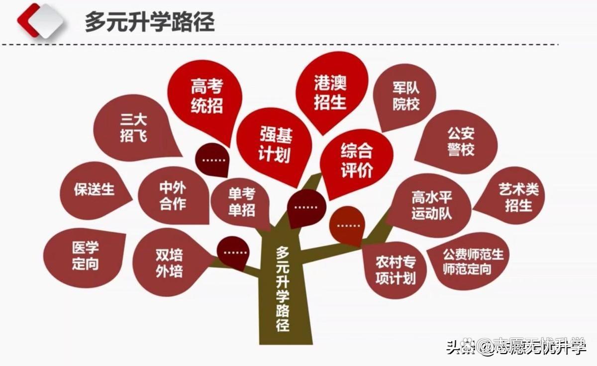 解碼廣東企業(yè)出海多元路徑,依托口岸資源開拓全球市場